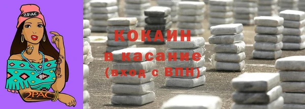 индика Богданович